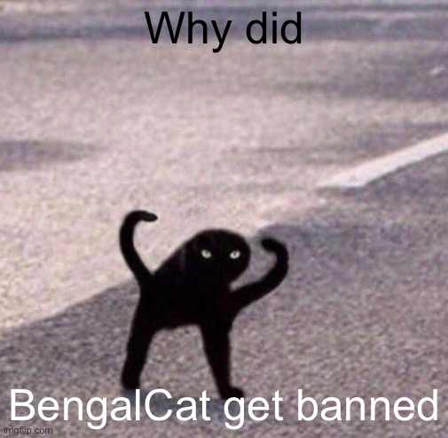 Cursed cat temp | Why did; BengalCat get banned | image tagged in cursed cat temp | made w/ Imgflip meme maker