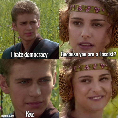 democracy is an awful system. I really mean that. I would gladly have a far-Right dictator imposing far-Right laws | Because you are a Fascist? I hate democracy; Yes. | image tagged in anakin padme 4 panel alternate | made w/ Imgflip meme maker