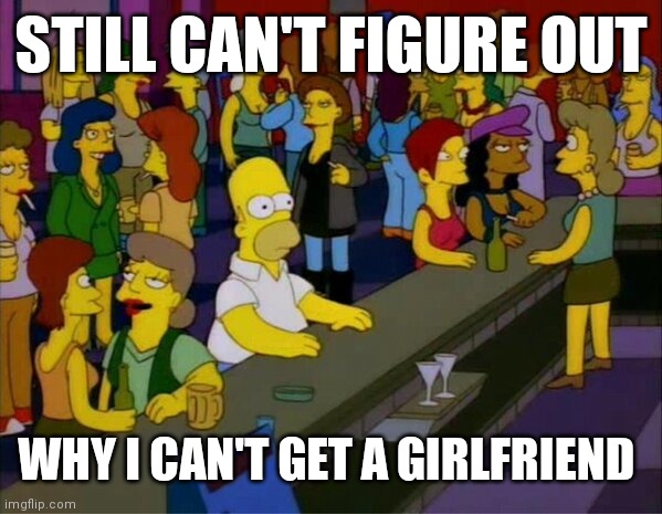 homer bar lesbian gay | STILL CAN'T FIGURE OUT; WHY I CAN'T GET A GIRLFRIEND | image tagged in homer bar lesbian gay,home alone | made w/ Imgflip meme maker