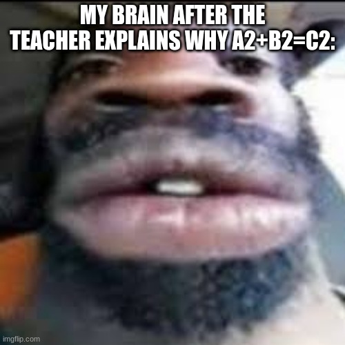 My brain be like | MY BRAIN AFTER THE TEACHER EXPLAINS WHY A2+B2=C2: | image tagged in funny memes | made w/ Imgflip meme maker