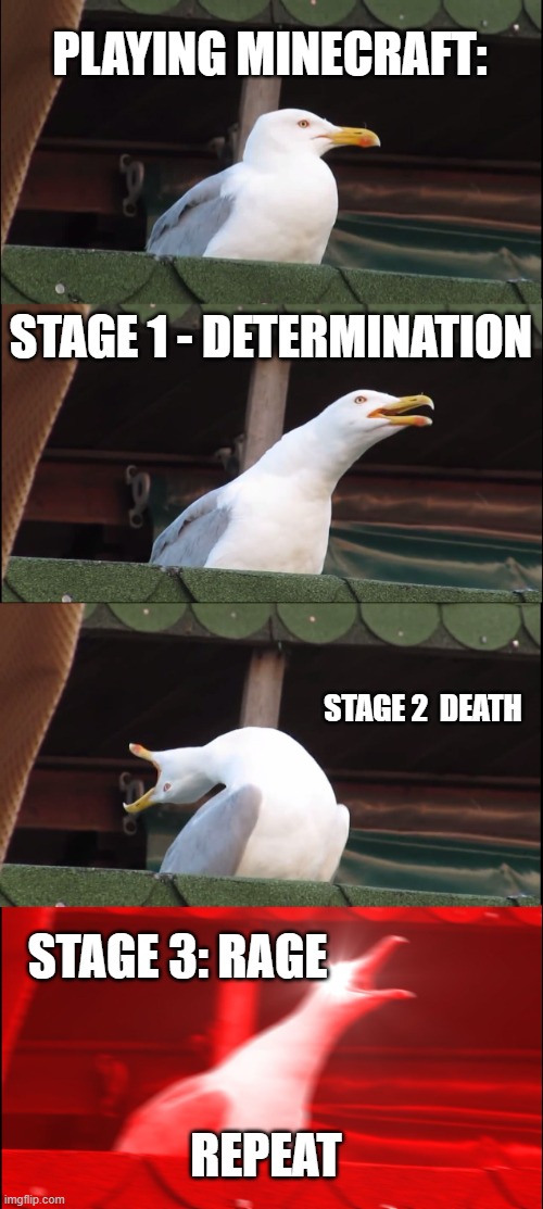 eh | PLAYING MINECRAFT:; STAGE 1 - DETERMINATION; STAGE 2  DEATH; STAGE 3: RAGE; REPEAT | image tagged in memes,inhaling seagull | made w/ Imgflip meme maker