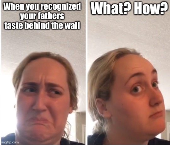Kombucha Girl | When you recognized your fathers taste behind the wall What? How? | image tagged in kombucha girl | made w/ Imgflip meme maker
