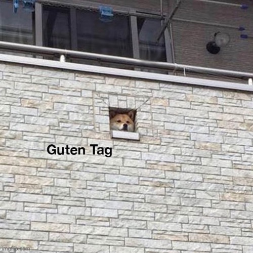 image tagged in guten tag dog | made w/ Imgflip meme maker