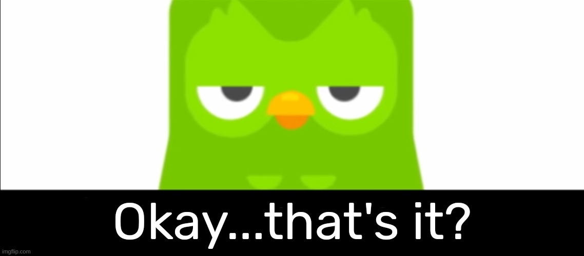 Duolingo was unimpressed | Okay...that's it? | image tagged in duolingo was unimpressed | made w/ Imgflip meme maker