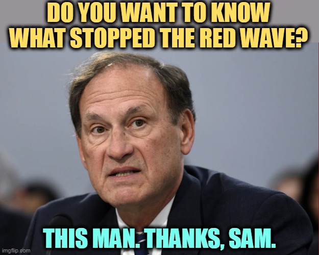 DO YOU WANT TO KNOW WHAT STOPPED THE RED WAVE? THIS MAN. THANKS, SAM. | image tagged in abortion,democrats,votes,supreme court,mistake,sam alito | made w/ Imgflip meme maker