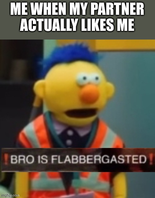 Flabbergasted Yellow Guy | ME WHEN MY PARTNER ACTUALLY LIKES ME | image tagged in flabbergasted yellow guy | made w/ Imgflip meme maker