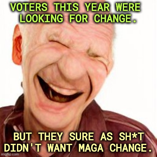 MAGA crazy is toxic. | VOTERS THIS YEAR WERE 
LOOKING FOR CHANGE. BUT THEY SURE AS SH*T DIDN'T WANT MAGA CHANGE. | image tagged in voters,change,never,maga | made w/ Imgflip meme maker