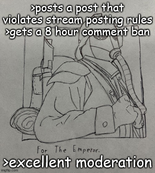 Kriegsman | >posts a post that violates stream posting rules
>gets a 8 hour comment ban; >excellent moderation | image tagged in kriegsman | made w/ Imgflip meme maker