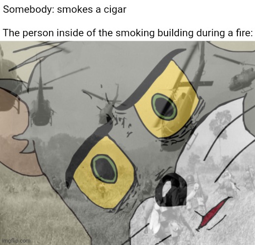Smoking building during a fire | Somebody: smokes a cigar; The person inside of the smoking building during a fire: | image tagged in unsettled tom vietnam,dark humor,memes,fire,smoke,building | made w/ Imgflip meme maker