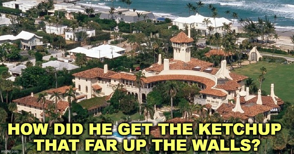 HOW DID HE GET THE KETCHUP 
THAT FAR UP THE WALLS? | image tagged in trump,ketchup,walls | made w/ Imgflip meme maker