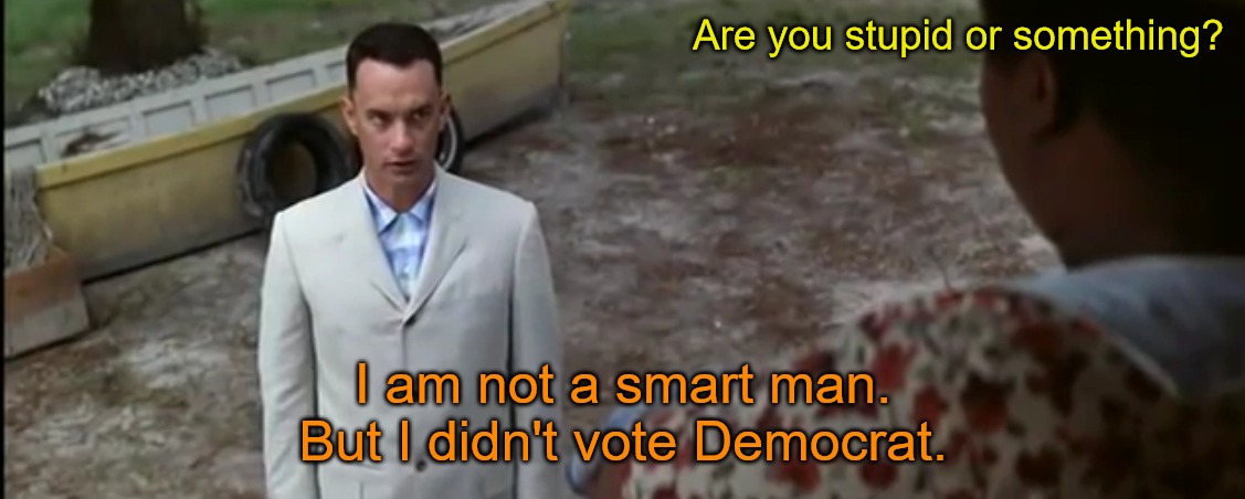 Dummies | Are you stupid or something? I am not a smart man. But I didn't vote Democrat. | image tagged in stupid is as stupid does | made w/ Imgflip meme maker