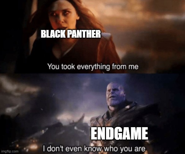 You took everything from me - I don't even know who you are | BLACK PANTHER ENDGAME | image tagged in you took everything from me - i don't even know who you are | made w/ Imgflip meme maker
