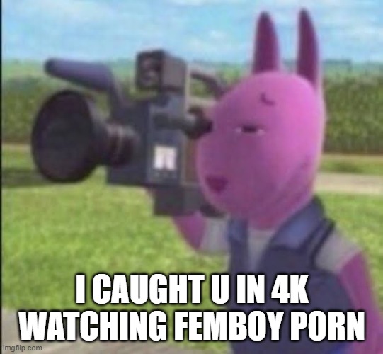 Caught in 4k | I CAUGHT U IN 4K WATCHING FEMBOY PORN | image tagged in caught in 4k | made w/ Imgflip meme maker