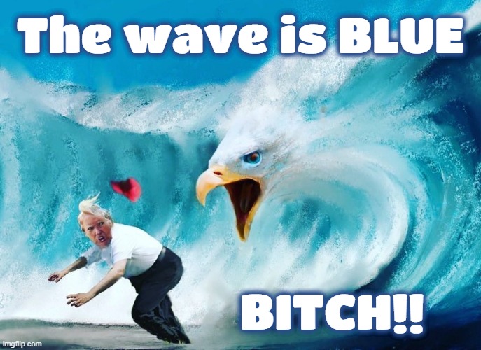 the people have spoken, again. like when you lost to biden... | The wave is BLUE; BITCH!! | image tagged in blue wave,fat bitch,crazy bitch,lying,bitch,bitch please | made w/ Imgflip meme maker