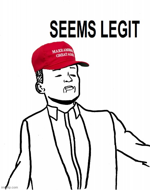 MAGA seems legit | image tagged in maga seems legit | made w/ Imgflip meme maker
