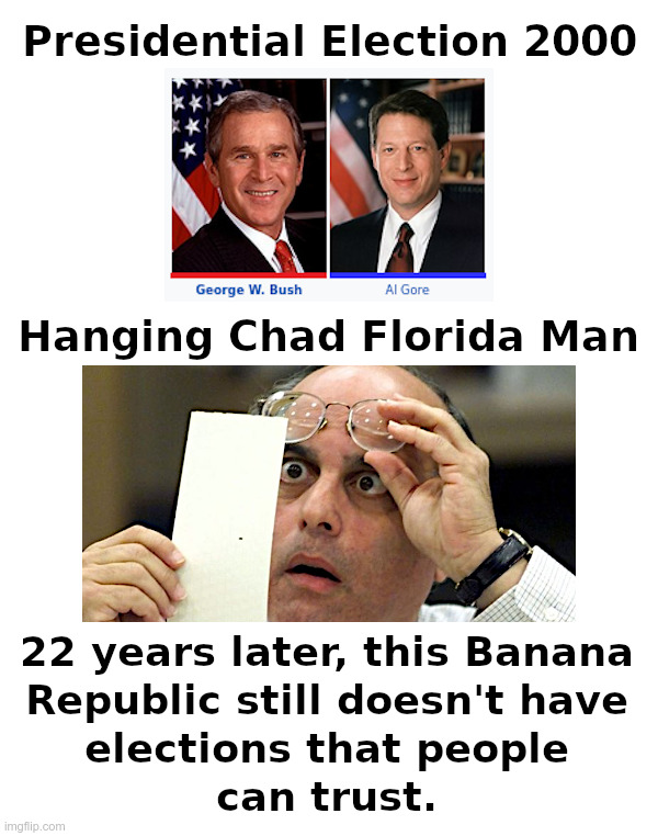 Elections in this Banana Republic | image tagged in george bush,al gore,hanging,chad,florida man,election | made w/ Imgflip meme maker