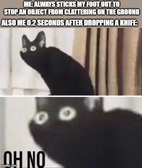 OH NO | ME: ALWAYS STICKS MY FOOT OUT TO STOP AN OBJECT FROM CLATTERING ON THE GROUND; ALSO ME 0.2 SECONDS AFTER DROPPING A KNIFE: | image tagged in oh no cat | made w/ Imgflip meme maker