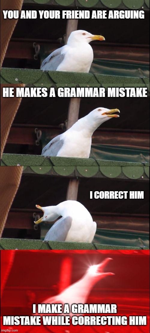 THE ADVANTAGE OF YOUR FRIEND MAKING A SPELLING MISTAKE | YOU AND YOUR FRIEND ARE ARGUING; HE MAKES A GRAMMAR MISTAKE; I CORRECT HIM; I MAKE A GRAMMAR MISTAKE WHILE CORRECTING HIM | image tagged in memes,inhaling seagull | made w/ Imgflip meme maker