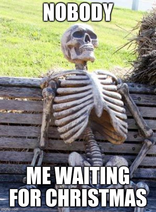 i'm dead | NOBODY; ME WAITING FOR CHRISTMAS | image tagged in memes,waiting skeleton,funny | made w/ Imgflip meme maker