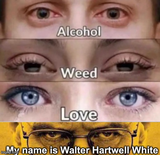 My name is Walter Hartwell White | made w/ Imgflip meme maker