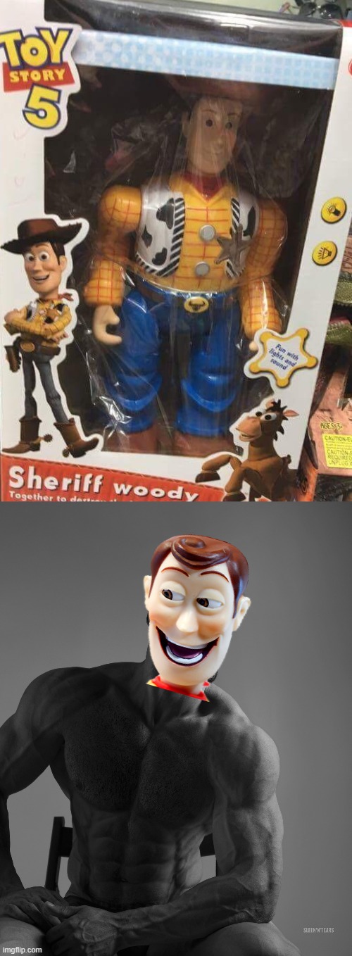 Ownerless toy= Chad Woody | image tagged in giga chad,woody | made w/ Imgflip meme maker