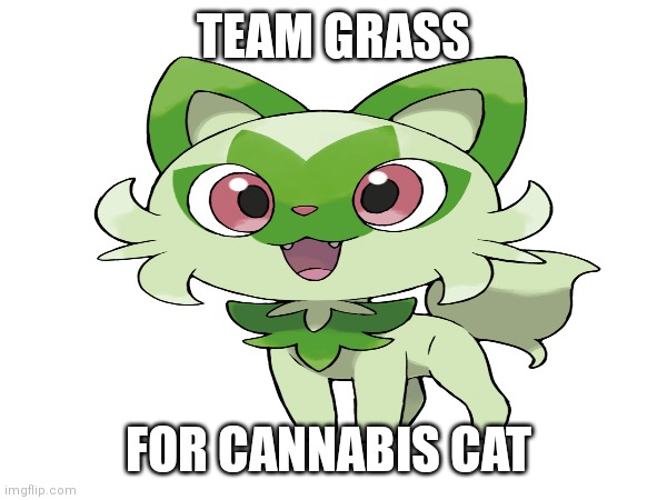 Splatoon 3 Pokémon Splatfest | TEAM GRASS; FOR CANNABIS CAT | image tagged in video games,splatoon,memes | made w/ Imgflip meme maker