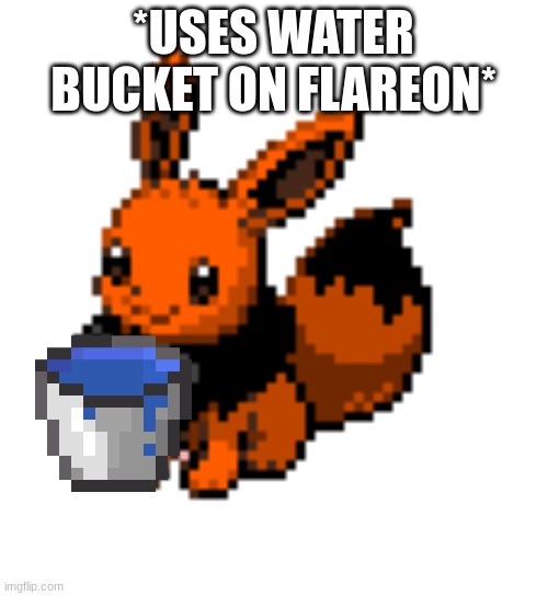 eevee | *USES WATER BUCKET ON FLAREON* | image tagged in eevee | made w/ Imgflip meme maker