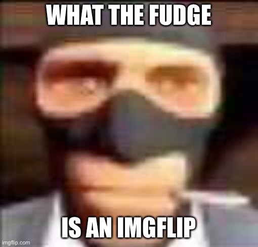 Yee |  WHAT THE FUDGE; IS AN IMGFLIP | image tagged in tag | made w/ Imgflip meme maker