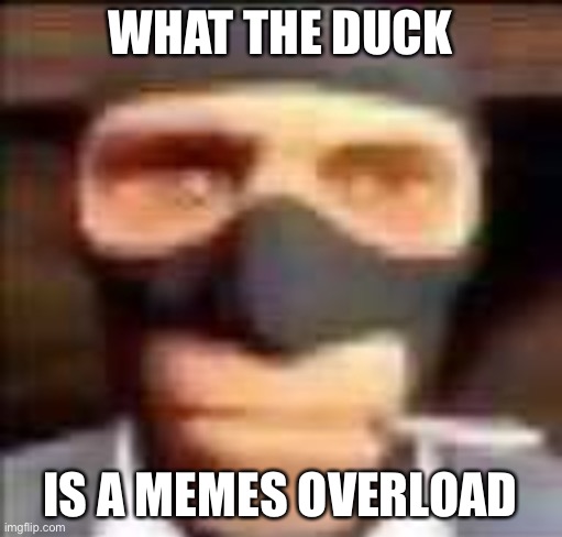 WHAT THE DUCK; IS A MEMES OVERLOAD | made w/ Imgflip meme maker