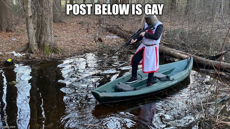 crusader points sniper rifle into extremely shallow pond | POST BELOW IS GAY | image tagged in crusader points sniper rifle into extremely shallow pond | made w/ Imgflip meme maker
