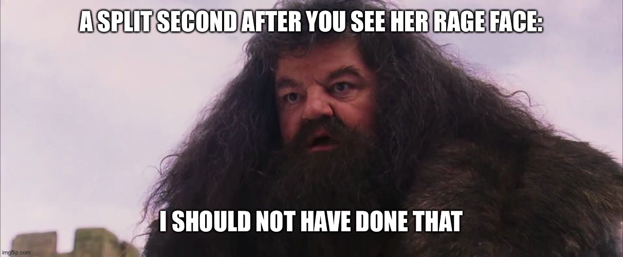 Hagrid I Shouldn't Have Said That | A SPLIT SECOND AFTER YOU SEE HER RAGE FACE: I SHOULD NOT HAVE DONE THAT | image tagged in hagrid i shouldn't have said that | made w/ Imgflip meme maker