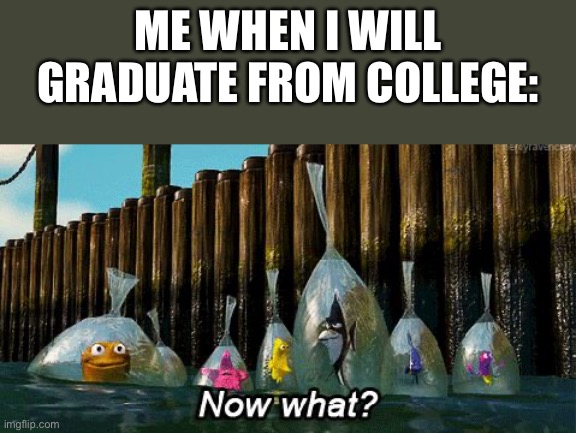 Idk | ME WHEN I WILL GRADUATE FROM COLLEGE: | image tagged in now what,college,school,school sucks | made w/ Imgflip meme maker