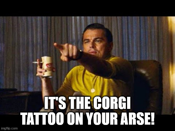 Leonardo Dicaprio pointing | IT'S THE CORGI TATTOO ON YOUR ARSE! | image tagged in leonardo dicaprio pointing | made w/ Imgflip meme maker