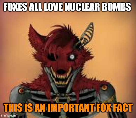 Important fox facts | FOXES ALL LOVE NUCLEAR BOMBS; THIS IS AN IMPORTANT FOX FACT | image tagged in important,fox,facts | made w/ Imgflip meme maker