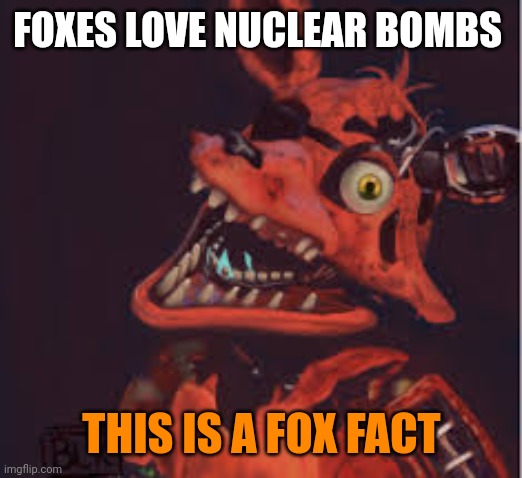 Important fox facts | FOXES LOVE NUCLEAR BOMBS; THIS IS A FOX FACT | image tagged in important,fox,facts | made w/ Imgflip meme maker