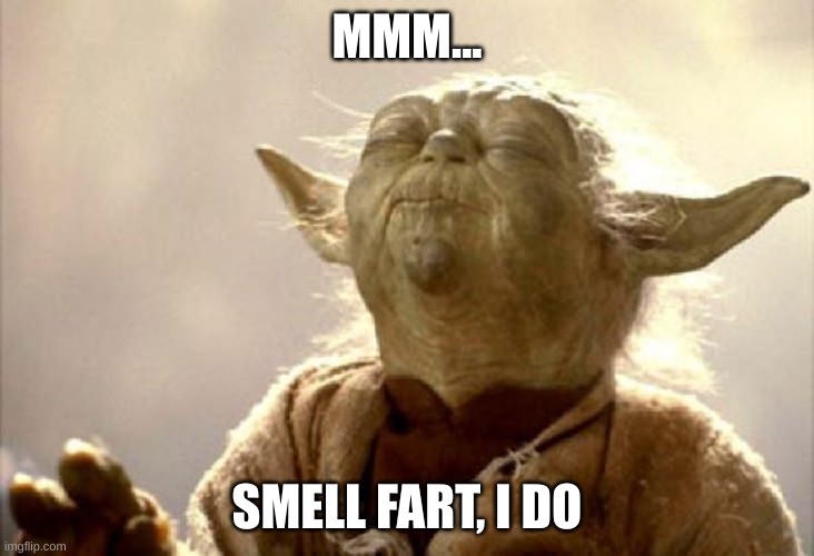 SMELLING YODA | MMM... SMELL FART, I DO | image tagged in smelling yoda | made w/ Imgflip meme maker