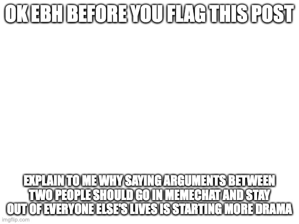 I'm sorry I'm getting mad that when I try to say something it gets blocked for "causing drama" when similar stuff isn't. | OK EBH BEFORE YOU FLAG THIS POST; EXPLAIN TO ME WHY SAYING ARGUMENTS BETWEEN TWO PEOPLE SHOULD GO IN MEMECHAT AND STAY OUT OF EVERYONE ELSE'S LIVES IS STARTING MORE DRAMA | made w/ Imgflip meme maker