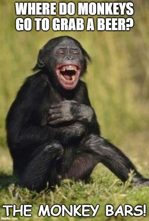 Best Monkey Memes!  Monkeys funny, Monkey memes, Funny monkey
