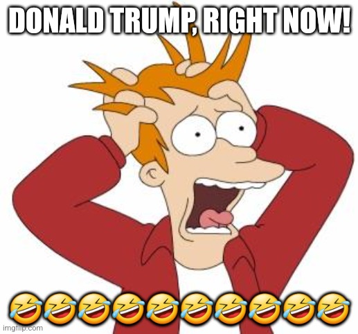 Donald Trump is freaking out!!!! | DONALD TRUMP, RIGHT NOW! 🤣🤣🤣🤣🤣🤣🤣🤣🤣🤣 | image tagged in donald trump you're fired,nevertrump,donald trump is an idiot | made w/ Imgflip meme maker