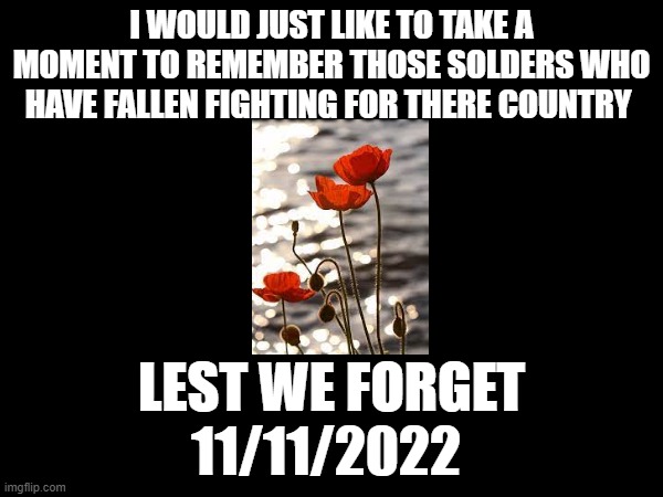 LEST WE FORGET | I WOULD JUST LIKE TO TAKE A MOMENT TO REMEMBER THOSE SOLDERS WHO HAVE FALLEN FIGHTING FOR THERE COUNTRY; LEST WE FORGET
11/11/2022 | image tagged in lest we forget,11/11 | made w/ Imgflip meme maker