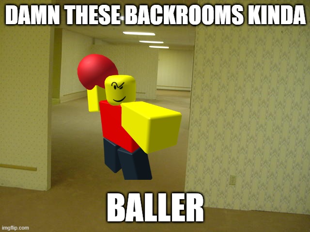 ballin | DAMN THESE BACKROOMS KINDA; BALLER | image tagged in the backrooms | made w/ Imgflip meme maker