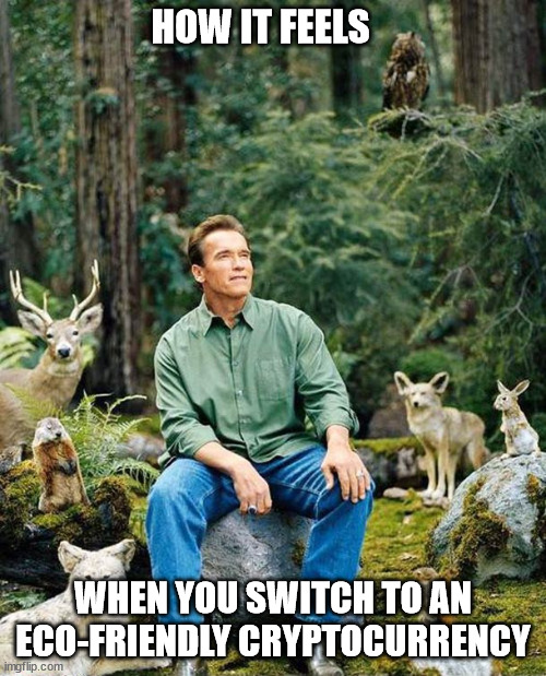 Arnold nature | HOW IT FEELS; WHEN YOU SWITCH TO AN ECO-FRIENDLY CRYPTOCURRENCY | image tagged in arnold nature | made w/ Imgflip meme maker