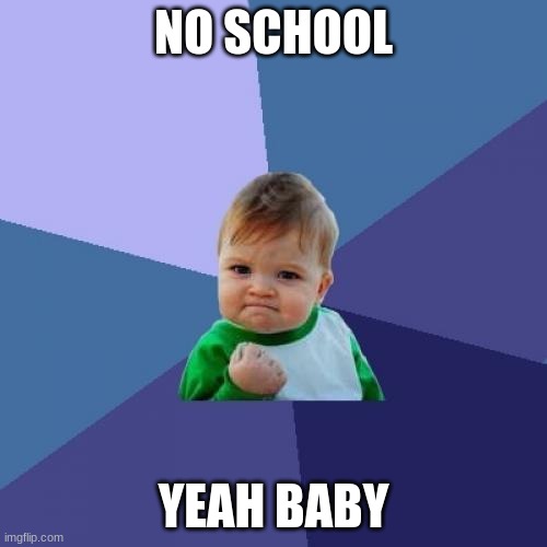 boo school | NO SCHOOL; YEAH BABY | image tagged in memes,success kid | made w/ Imgflip meme maker