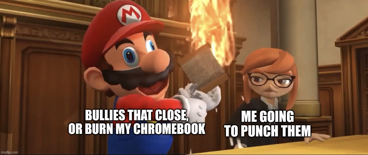 BRO, Y ME | ME GOING TO PUNCH THEM; BULLIES THAT CLOSE, OR BURN MY CHROMEBOOK | image tagged in mario and meggy | made w/ Imgflip meme maker