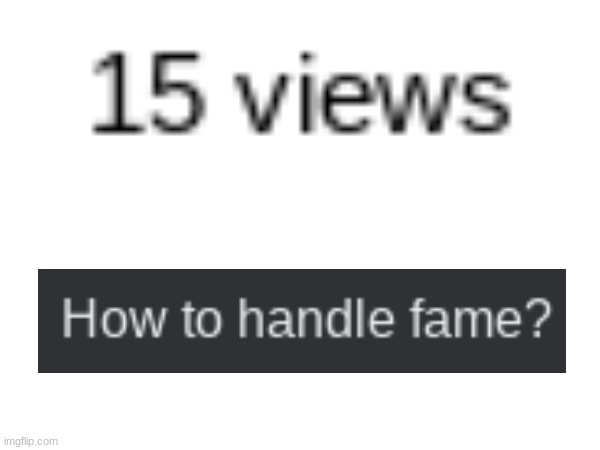 image tagged in how to handle fame,views,fun | made w/ Imgflip meme maker