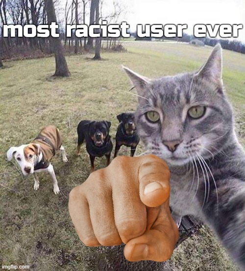 Selfie Cat | most racist user ever | image tagged in selfie cat | made w/ Imgflip meme maker