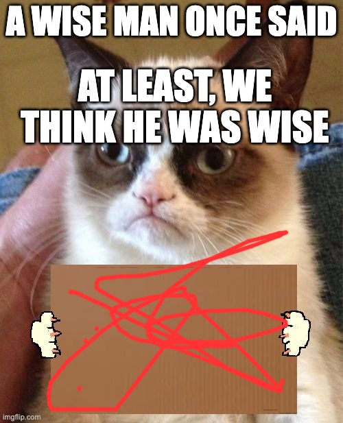 A wise man | A WISE MAN ONCE SAID; AT LEAST, WE THINK HE WAS WISE | image tagged in bruh | made w/ Imgflip meme maker