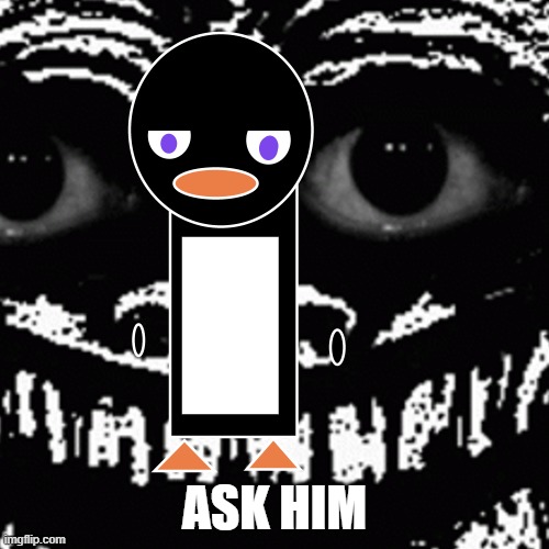 Ask Pingucci, I guess. | ASK HIM | made w/ Imgflip meme maker