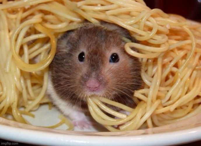 pasta | image tagged in pasta | made w/ Imgflip meme maker