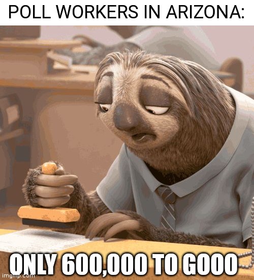 Arizona saying results will be after the weekend | POLL WORKERS IN ARIZONA:; ONLY 600,000 TO GOOO | image tagged in slow sloth,arizona,democrats,midterms | made w/ Imgflip meme maker
